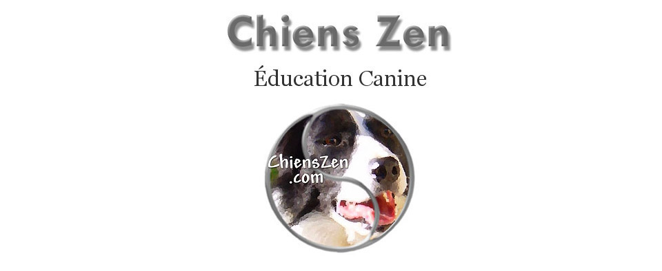 CHIENS ZEN EDUCATION CANINE